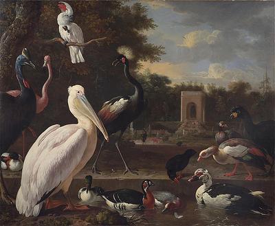 Melchior de Hondecoeter A Pelican and other exotic birds in a park Germany oil painting art